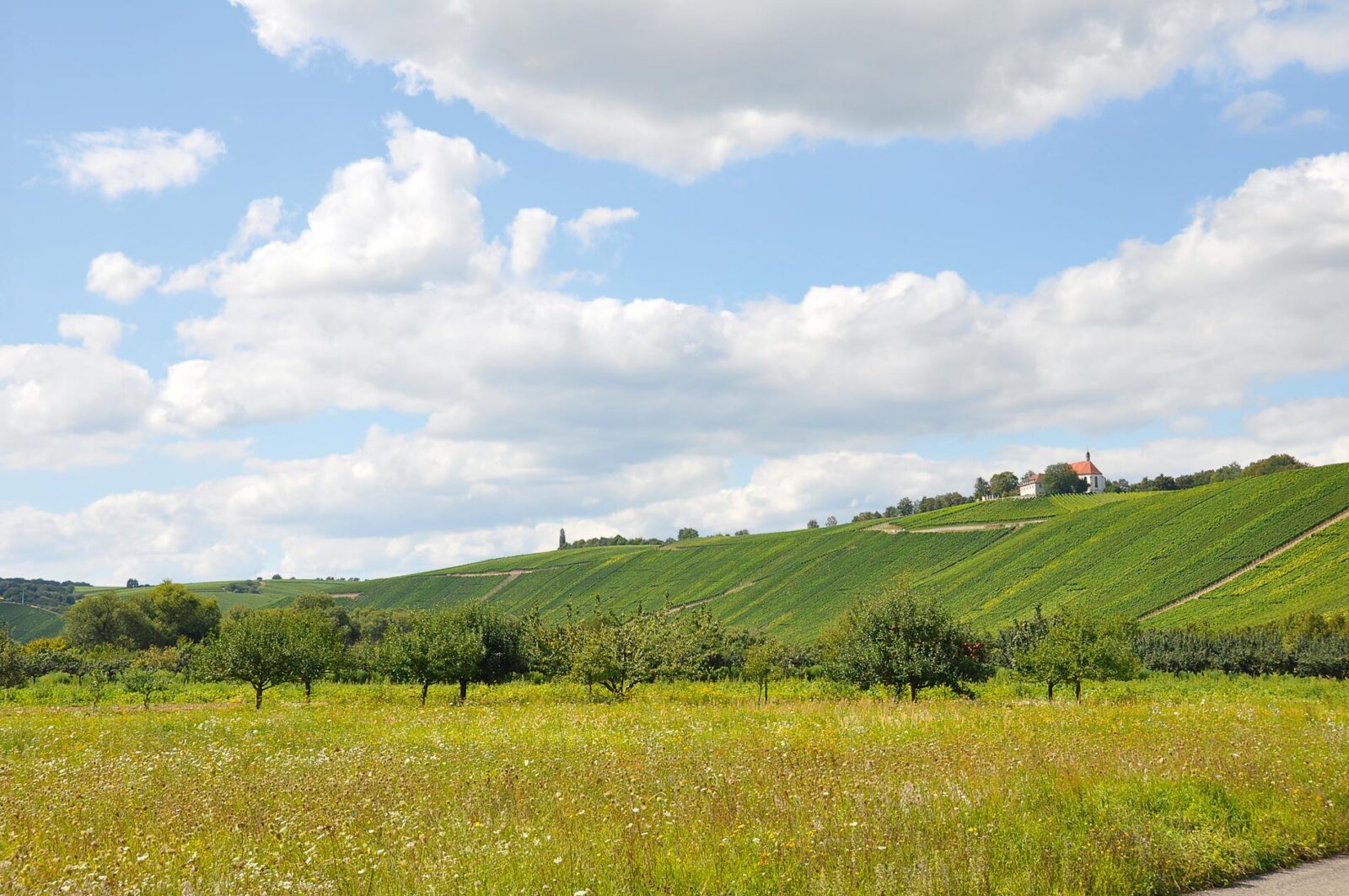 Landschaftsfoto am Mittelmain