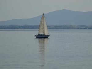 Segelboot auf Wasser