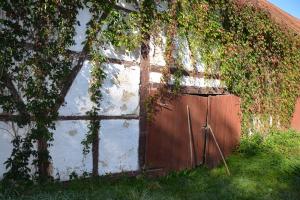 schön zugewachsener Schuppen