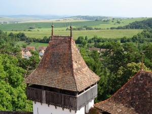 Turmdach von oben mit Kleinstadt im Hintrgrund