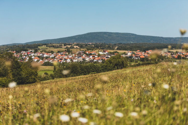 Blick auf ein Dorf in einer hügeligen Landschaft, im Vordergrund eine grüne Wiese.